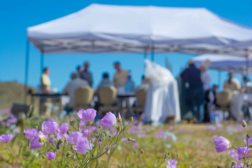 Desierto florido Privado